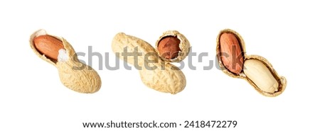 Peanuts Isolated, Roasted Arachis Nuts, Open Pea Nut, Whole Groundnut with Shell, Macro Peanut Set on White Background