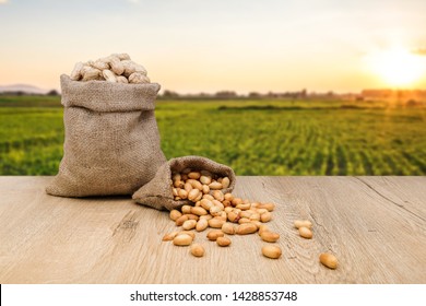 Peanuts in jute sack bag, background is peanut farm, roasted peanuts are poured and overturned