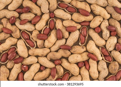 Peanuts seed placed on Peanuts.