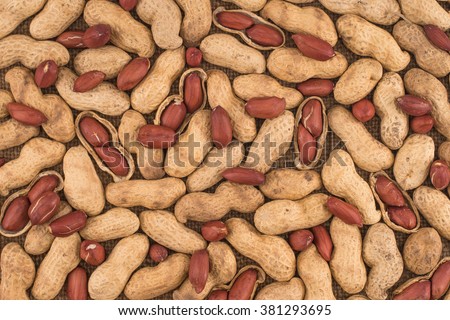 Peanuts seed placed on Peanuts.