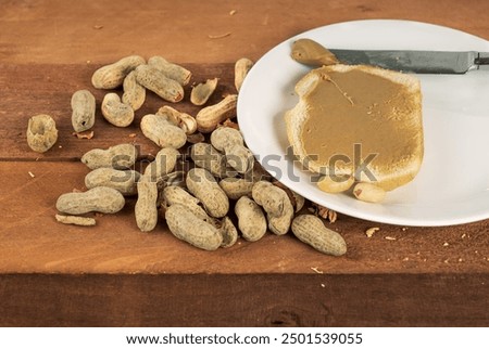 Similar – Image, Stock Photo many shells lie in the sand