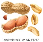 Peanuts, with shell and peeled