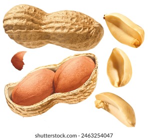 Peanuts, with shell and peeled