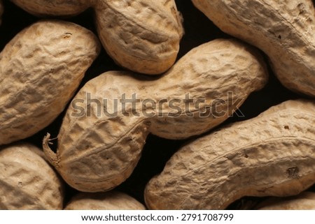 Peanuts with shells close up studio shot over