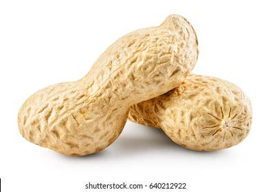 Peanuts. Two unpeeled nuts isolated on white background. Peanut macro. Full depth of field.
