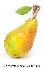 Pear with bone 