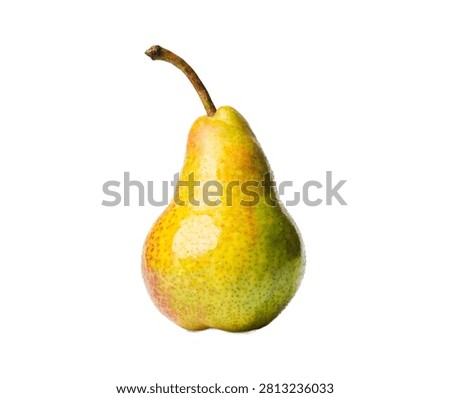 Pear Fruit Standing Elegant Pose With Green Yel Isolated On White Background