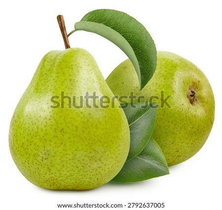 Pear full macro shoot fruit healthy food ingredient on white isolated. Clipping path suitable for package. Pear macro studio photo