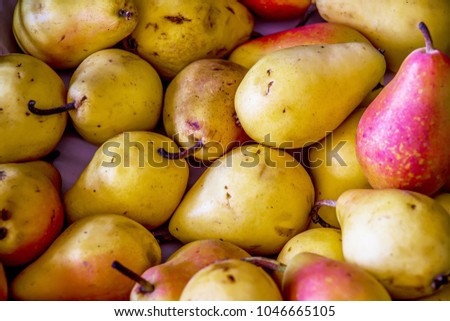 Pear texture: many pears