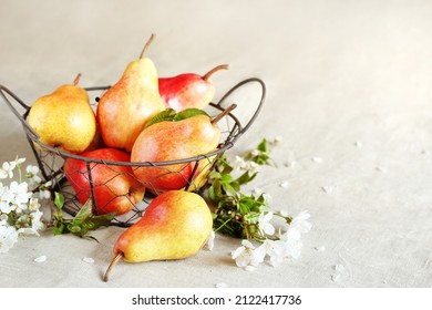 pear yellow with red side, pear variety trout, beautiful juicy pears organic, beautiful fresh fruits, copy space, space for text