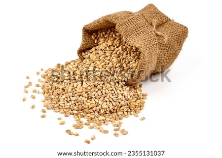 Pearl barley in rustic burlap, isolated on white background