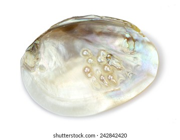 Pearl Beads In Oyster Shell. 