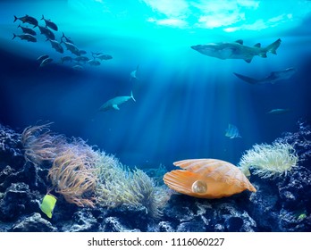 Image result for coral and pearl in the sea