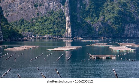 Pearl Farm In Ha Long Bay, Vietnam.