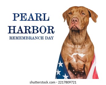 Pearl Harbor Remembrance Day. Sweet Puppy And American Flag. Studio Photo. Closeup, No People. National Holiday Concept. Congratulations For Family, Relatives, Friends And Colleagues