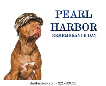 Pearl Harbor Remembrance Day. Sweet Puppy And American Flag. Studio Photo. Closeup, No People. National Holiday Concept. Congratulations For Family, Relatives, Friends And Colleagues