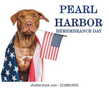 Pearl Harbor Remembrance Day. Sweet Puppy And American Flag. Studio Photo. Closeup, No People. National Holiday Concept. Congratulations For Family, Relatives, Friends And Colleagues