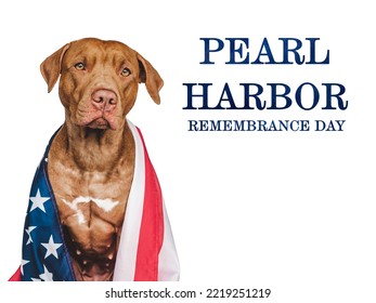 Pearl Harbor Remembrance Day. Sweet Puppy And American Flag. Studio Photo. Closeup, No People. National Holiday Concept. Congratulations For Family, Relatives, Friends And Colleagues