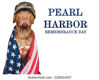 Pearl Harbor Remembrance Day. Sweet Puppy And American Flag. Studio Photo. Closeup, No People. National Holiday Concept. Congratulations For Family, Relatives, Friends And Colleagues