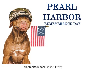 Pearl Harbor Remembrance Day. Sweet Puppy And American Flag. Studio Photo. Closeup, No People. National Holiday Concept. Congratulations For Family, Relatives, Friends And Colleagues