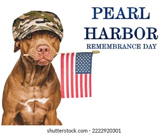 Pearl Harbor Remembrance Day. Sweet Puppy And American Flag. Studio Photo. Closeup, No People. National Holiday Concept. Congratulations For Family, Relatives, Friends And Colleagues