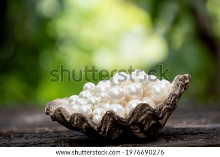 Pearl on shell and on nature background. 