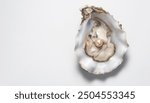 Pearl, One Natural pearl inside the oyster shell, close up, over grey background. Top view. Nacre. Mother-of-pearl. Wealth concept