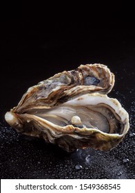 Pearl Oyster, Close Up Of Pearl In Oyster Shell