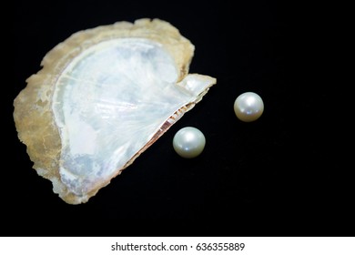 black pearl in oyster shell