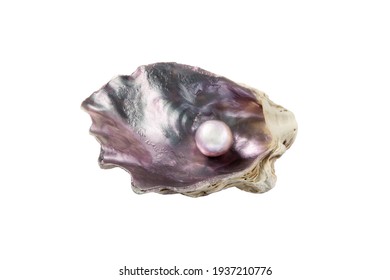 Pearl In The Purple Iridescent Oyster Shell Isolated On White