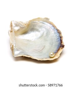 Pearl Resting On Open Oyster Shell To Depict Wealth Concept Isolated Against White.