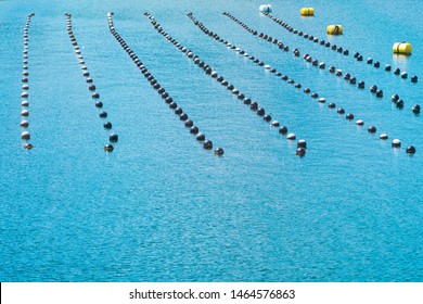 Pearl Rows In The Ocean, Production And Cultivation Of Pearls In The Ocean. Landscape And Pearl Aqua Farming Cultivation Shima Japan.