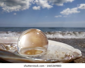 pearl in shell at the beach