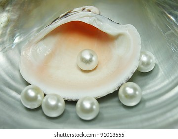 Pearl Shells Stock Photo 91013555 | Shutterstock