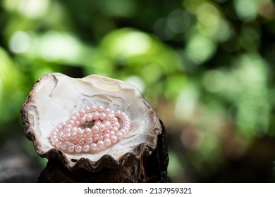 Pearls On Shell And On Nature Background.