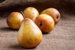 https://image.shutterstock.com/image-photo/pears-harvest-fruit-background-fresh-250nw-596558780.jpg