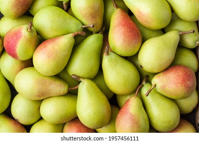 Pears, Large Group, Background – Italian Cultivar of Green Pear "Pera Coscia" (Pyrus Communis) with Red Shade – Detailed Close-Up Macro, Top View, from Above