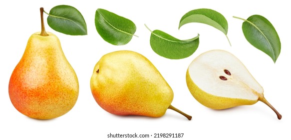 Pears with leaves on the white background. Pears collection isolated clipping path. Pears macro studio photo - Shutterstock ID 2198291187