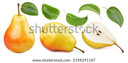 Pears with leaves on the white background. Pears collection isolated clipping path. Pears macro studio photo