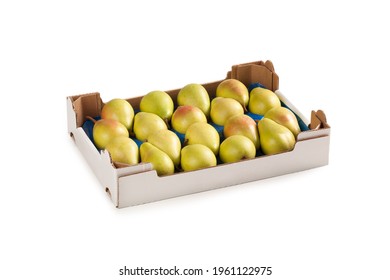 Pears in White Cardboard Box – Green Fruit Italian Cultivar "Pera Coscia" (Pyrus Communis) Arranged, Ordered in Fruit Market Carton Box – Detailed Close-Up Macro, Isolated on White Background