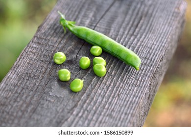 Peas. One Green Closed Pea Pod And A Few Peas Lie On A Wooden Board In The Garden. Macro 