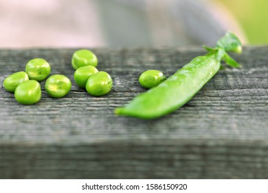 Peas. One Green Closed Pea Pod And A Few Peas Lie On A Wooden Board In The Garden. Macro 