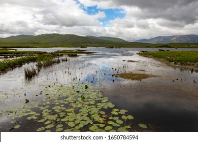 Peat Bog In County Mayo In The Republic Of Ireland.