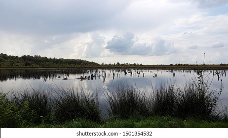 Quickborn Images Stock Photos Vectors Shutterstock