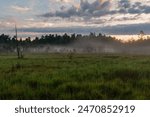 A peat bog, a nature reserve in Silesia, Poland