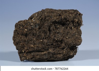 Peat, Coal, Glastonbury, England