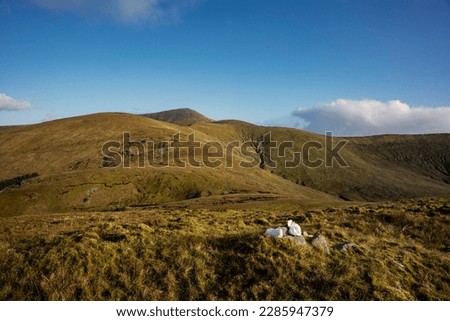 Peat covered mountain of Wild Nephin National Park in Ireland. It is located on the western seaboard in Northwest Mayo. It comprises of 11.000 hectares of Atlantic Blanket Bog and mountainous terrain.
