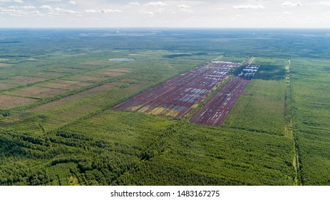 6,650 Peat land plants Images, Stock Photos & Vectors | Shutterstock