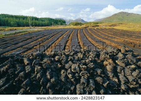 Peat 'farming' or cutting, connemara region near clifden, county galway, connacht, republic of ireland (eire), europe