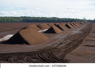 Peat Harvesting. Field With Piles Of Harvested Peat.